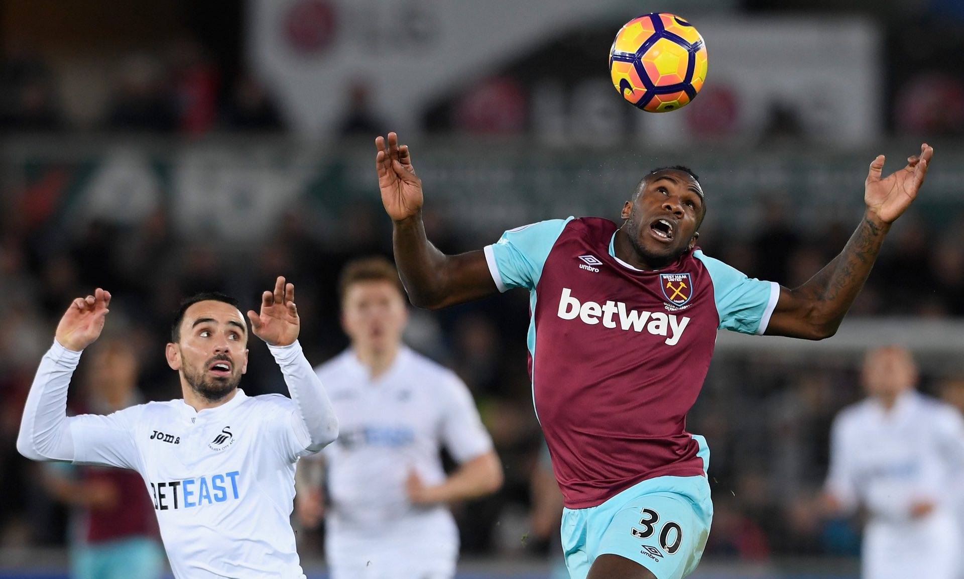 不仅彰显出 不仅彰显出